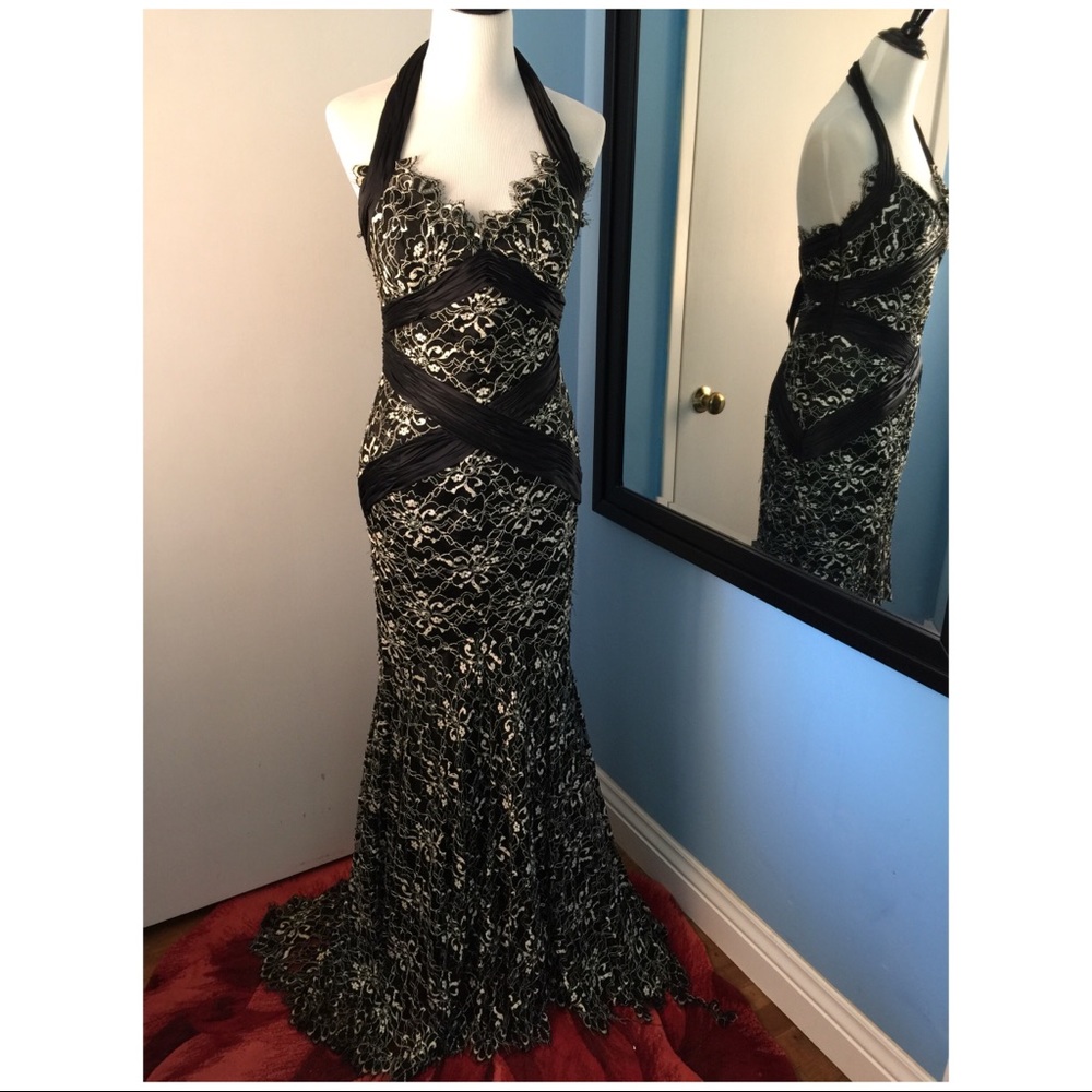 Terani Silk Gown👠